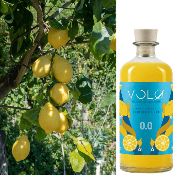 Vol0 Il Monello 0.0 alternativo al Limoncello Analcolico – Liquore al Limone Senza Alcol Premium - immagine 7